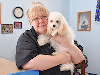 Ask Debbie the Dog Groomer?